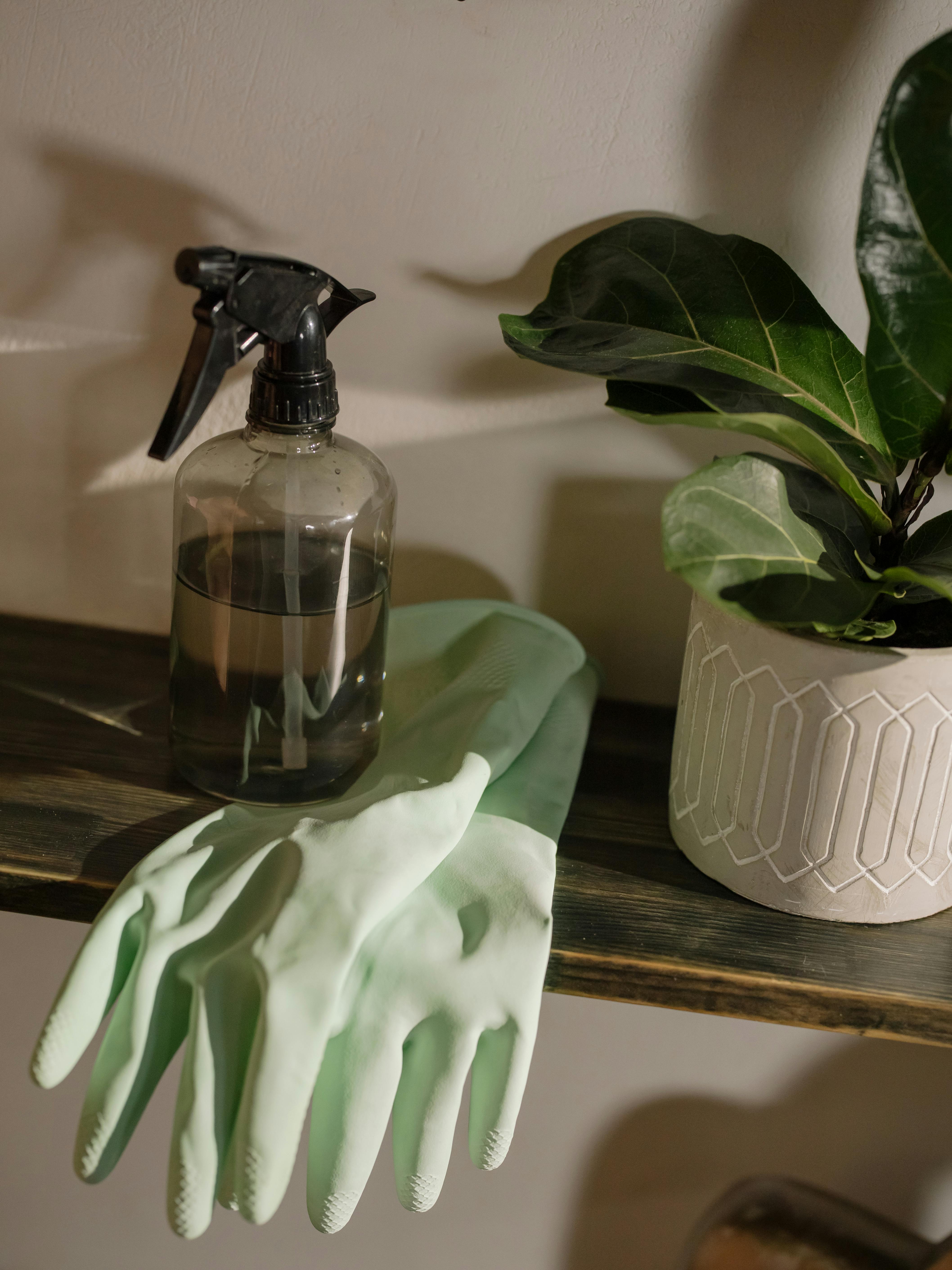Eco-friendly cleaning supplies used by Downtown Miami's top cleaning service
