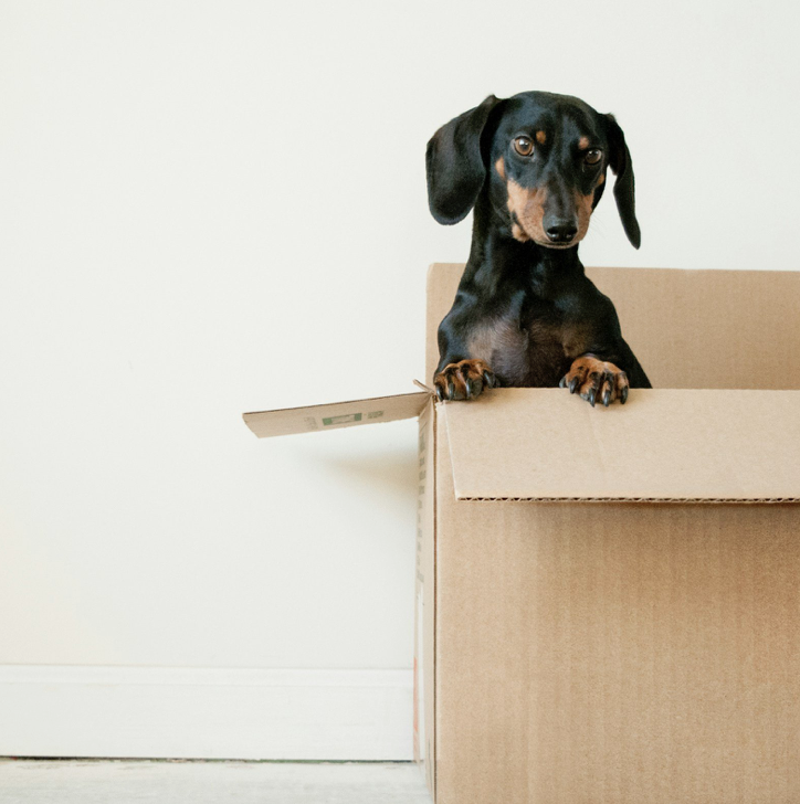 MOVE IN / MOVE OUT - Downtown Miami Cleaning Service